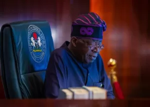 18348262_tinubu636x4551_jpeg0108fe8676b65936d0d6f5be17d307ac