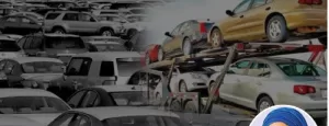Vehicle-importation-e1716940970111
