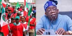 Tinubu-nlc