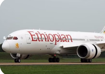 Screenshot_20260117-073151~2