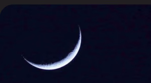 Screenshot_20260218-002450~2