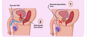 Screenshot_20260404_170834_Google